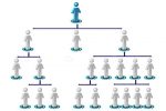 Organisation Hierarchy Tree